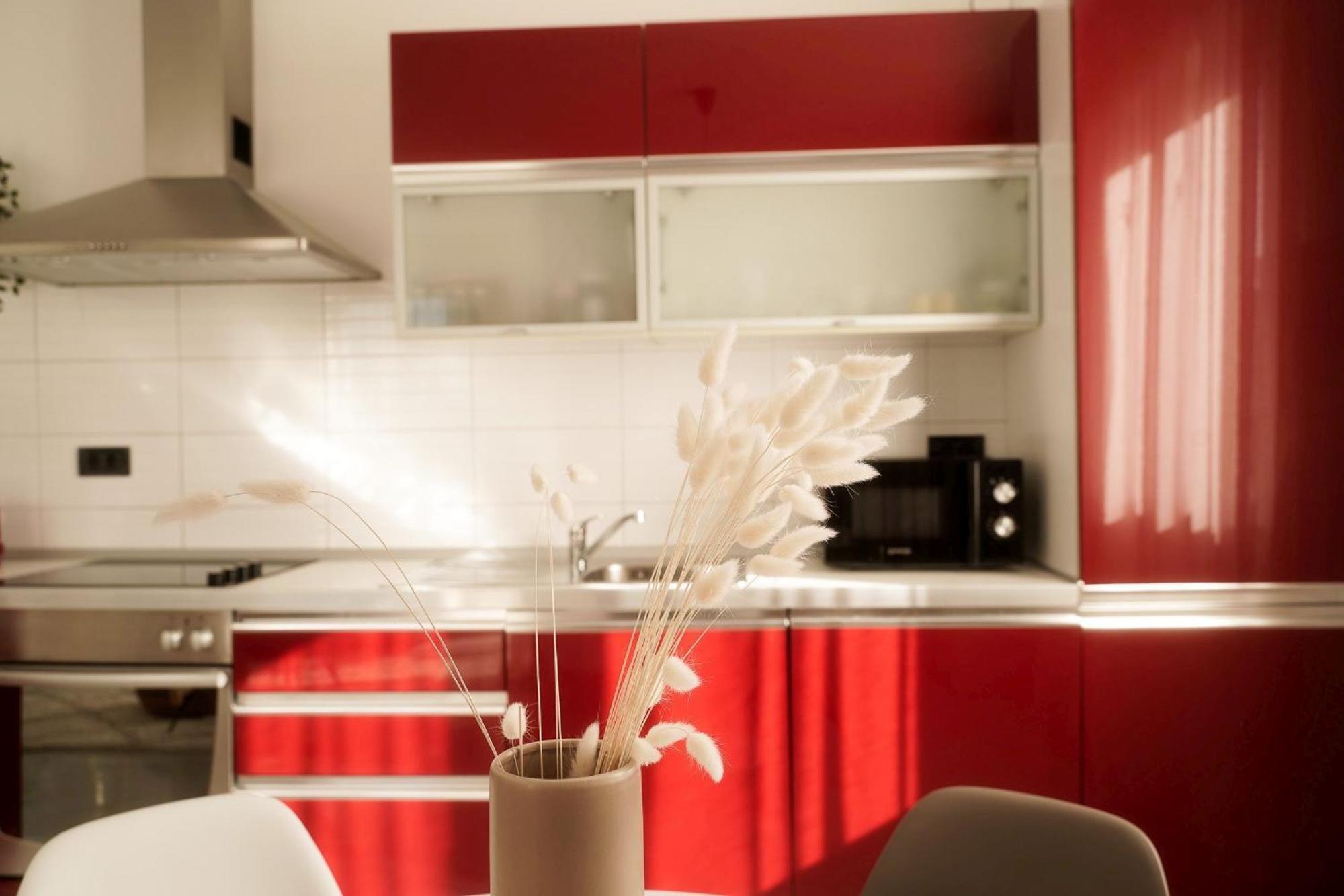 Dandelion Apartment Rovinj-Free Bikes Esterno foto