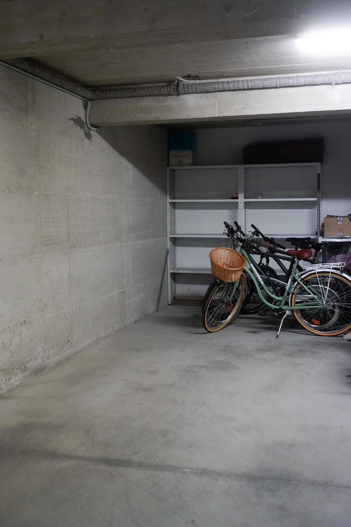 Dandelion Apartment Rovinj-Free Bikes Esterno foto