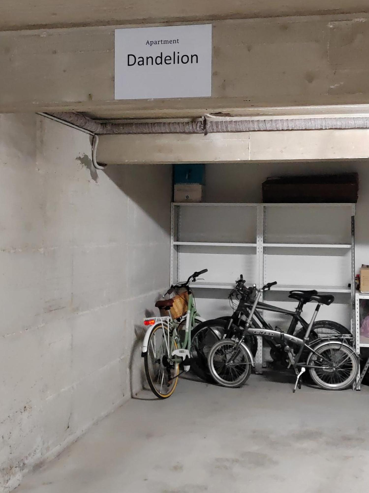 Dandelion Apartment Rovinj-Free Bikes Esterno foto